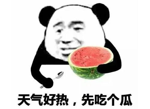 吃瓜娱乐透明表情包